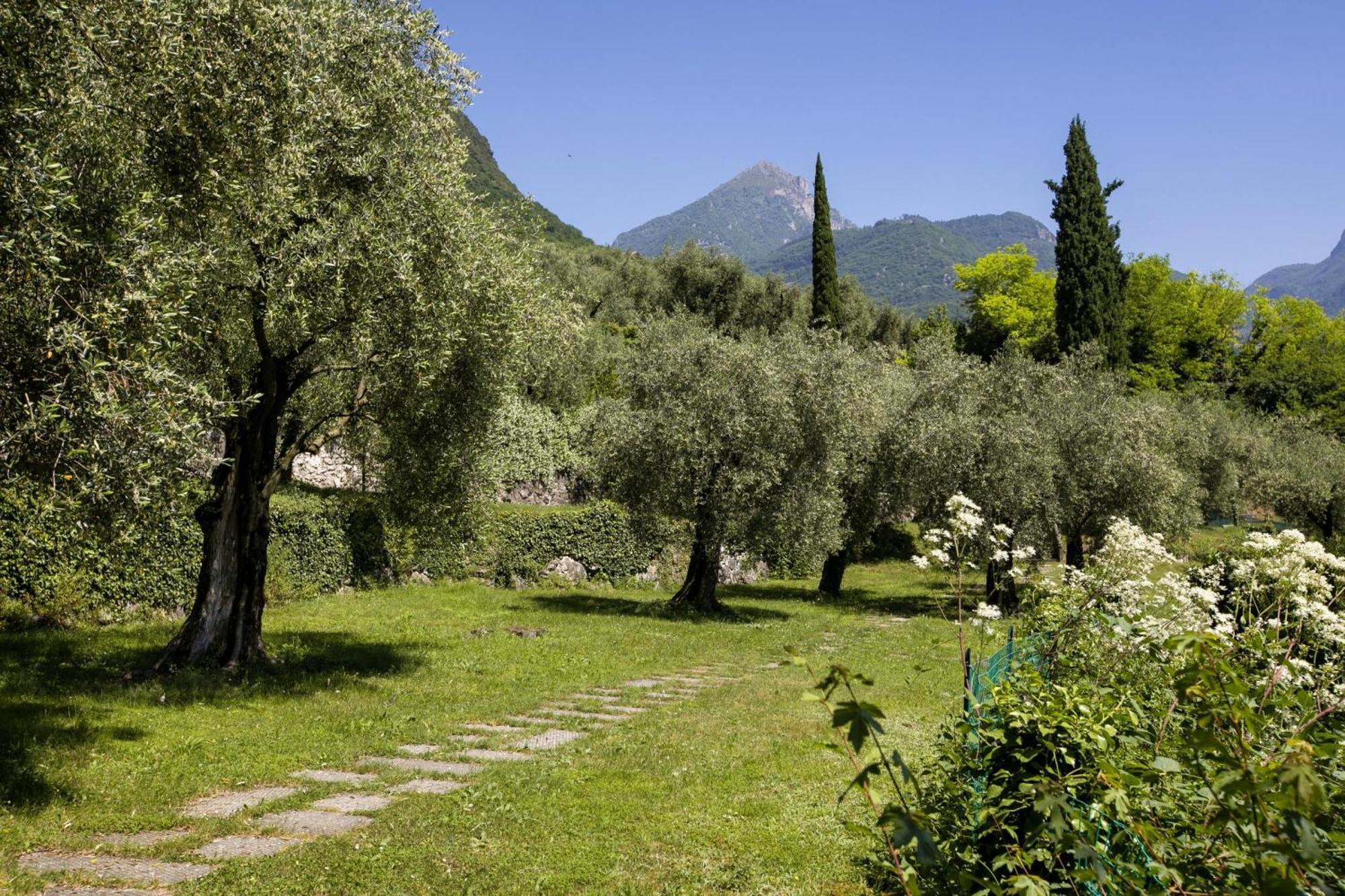 Lake View Dom-Us Apartment - Happy Rentals Riva del Garda Exteriör bild